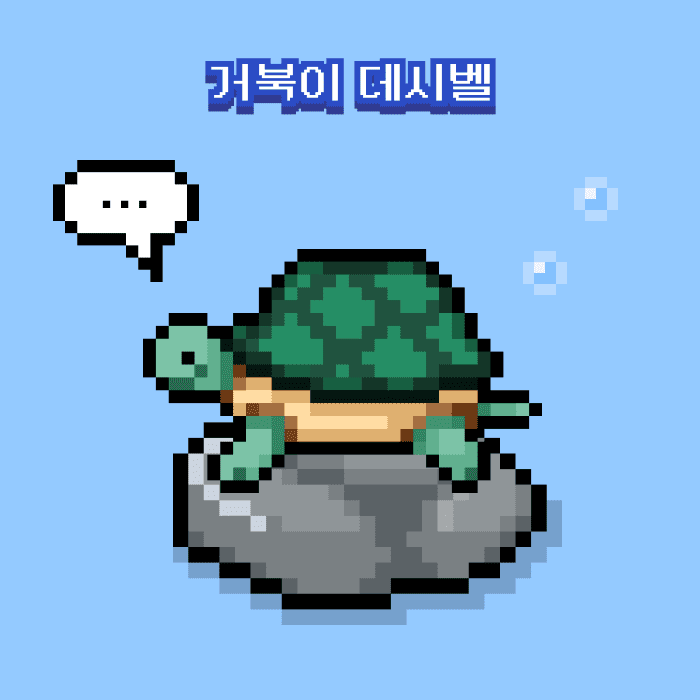 거북이 데시벨